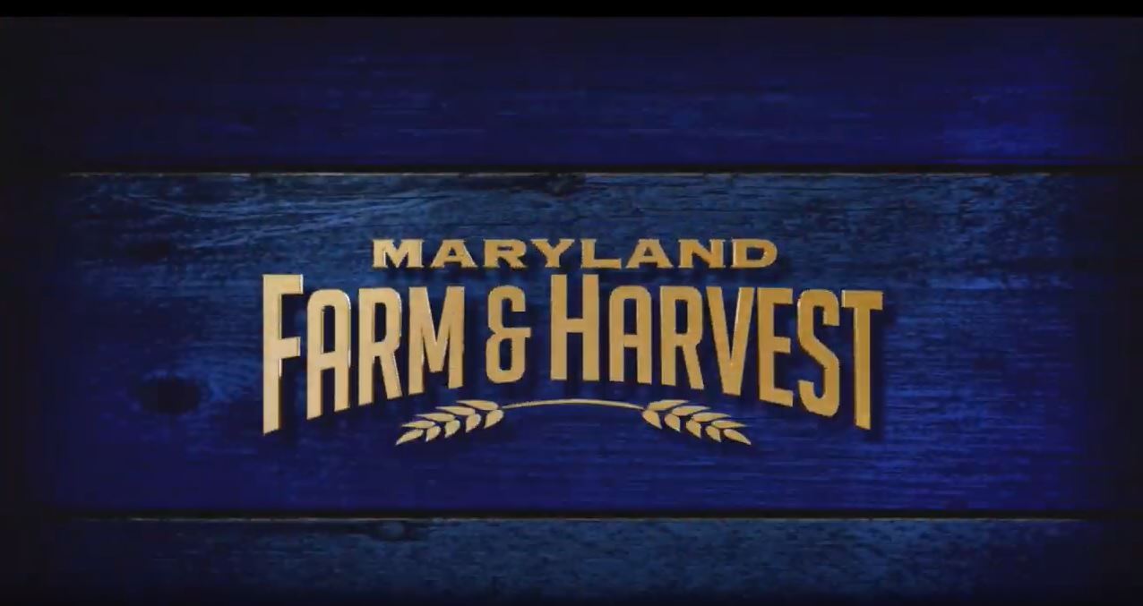 Featured on Maryland Farm & Harvest